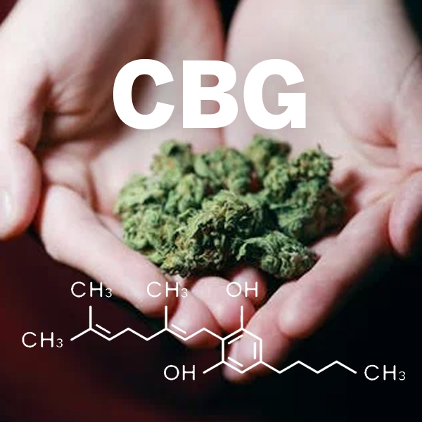 CBG: kanabinoid súčasnosti. Čo dokáže kanabinoid CBG?