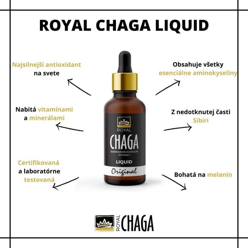 Chaga info čaga